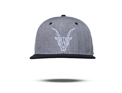 Snapback Grey with Black